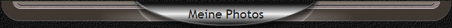 Meine Photos